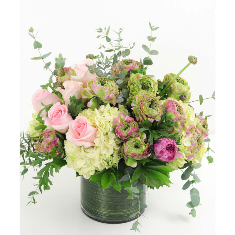 Mayfields Ranunculus Garden - In Pink - Same Day Delivery