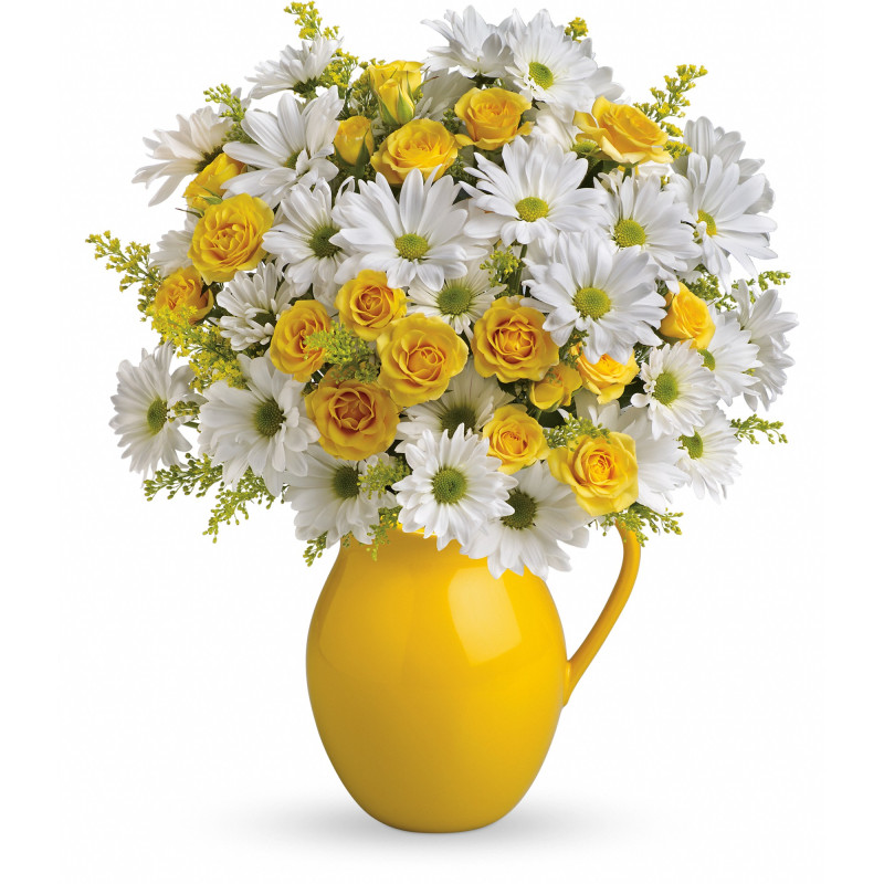 Sunny Day Pitcher of Daisies - Same Day Delivery