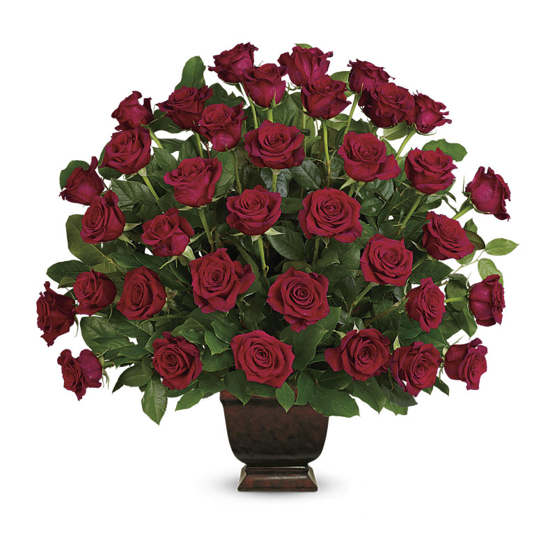 Rose Tribute - Same Day Delivery