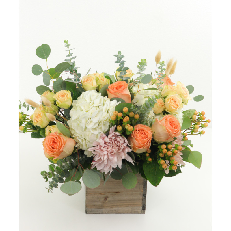 Natures Dreams - Same Day Delivery