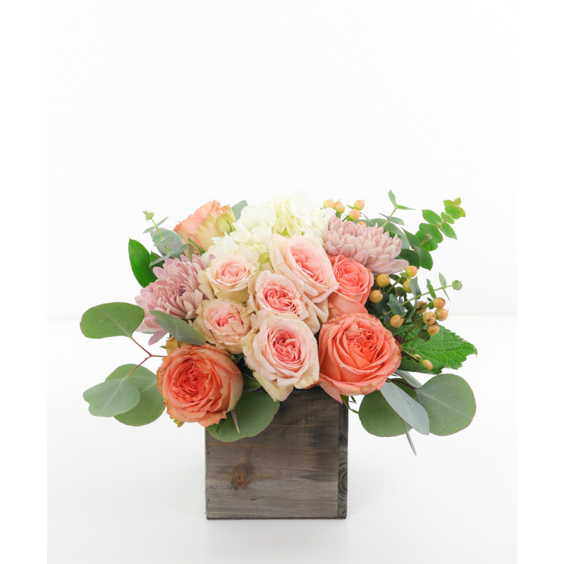 Natures Dreams - Same Day Delivery