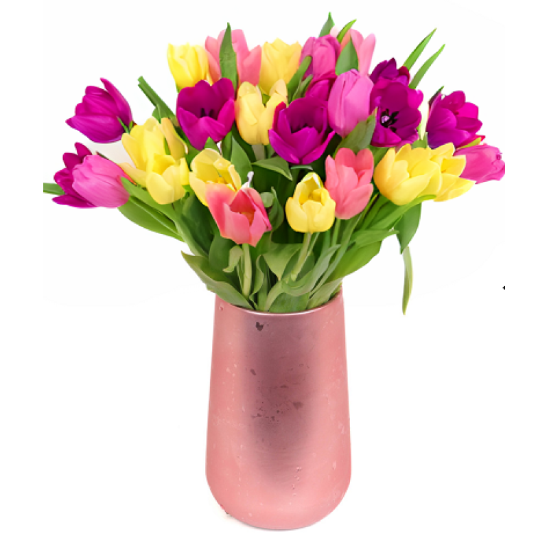 Tulips In Spring - Same Day Delivery
