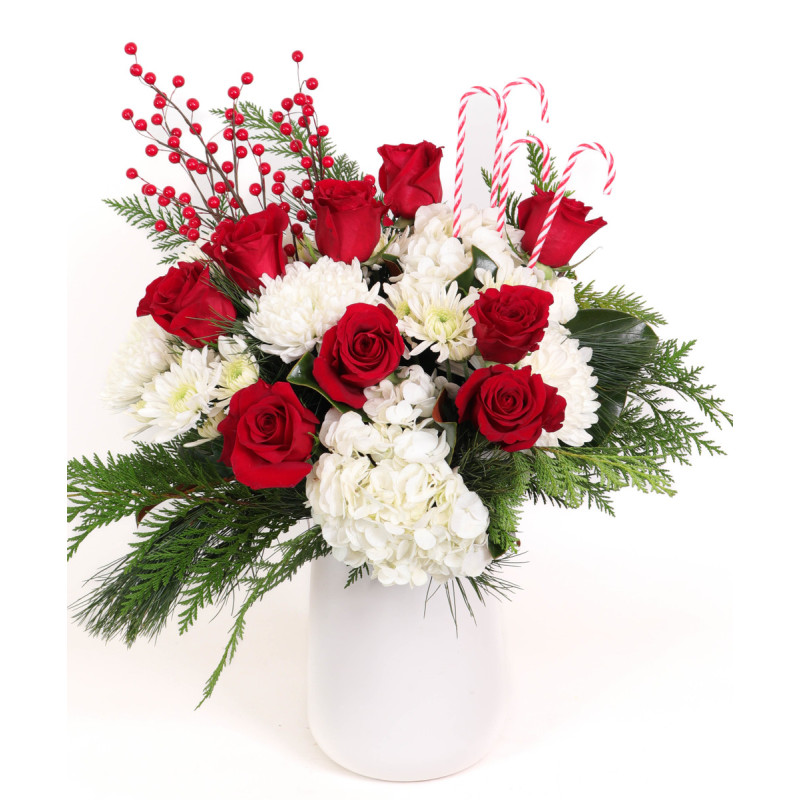 Winterhaven Christmas - Same Day Delivery