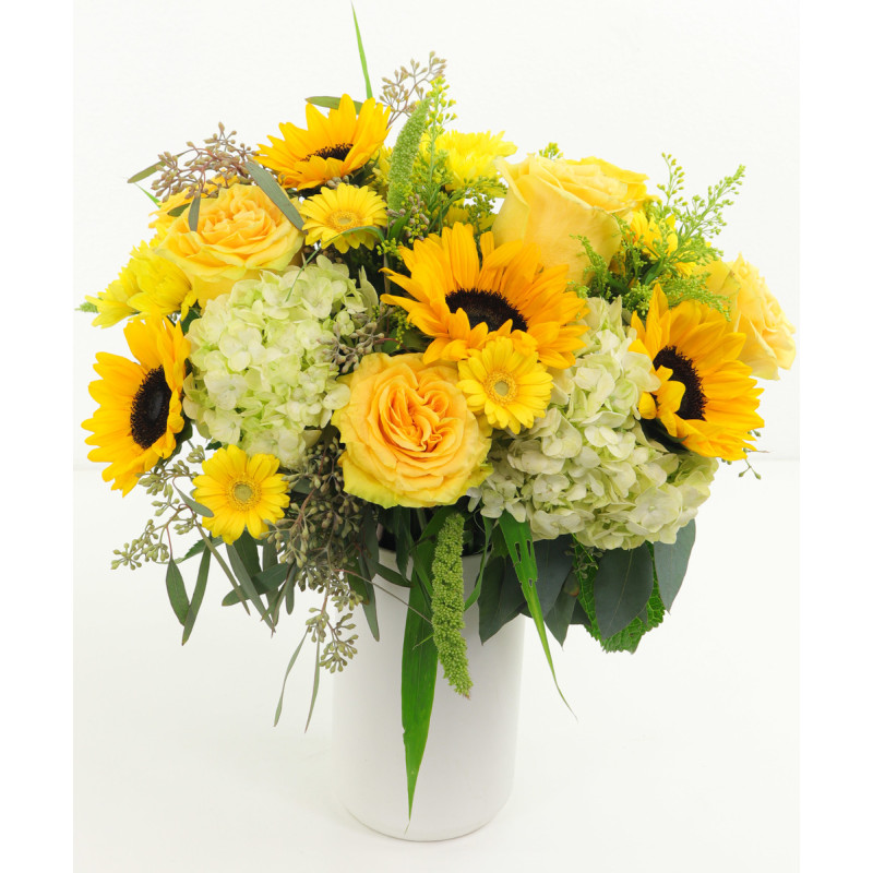 Sunny Delight  - Same Day Delivery