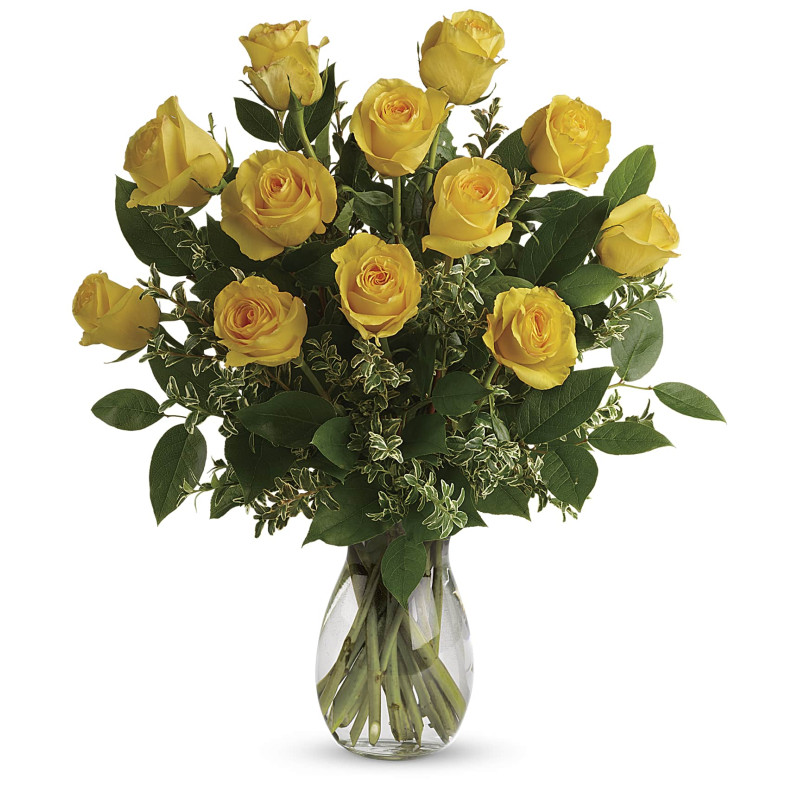 Say Yellow  - Same Day Delivery